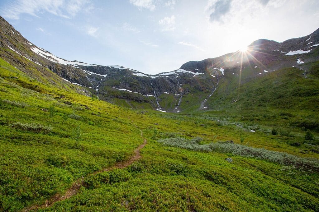 View from the Rimstigen trail high above Nærøyfjord, showing a narrow fjord framed by steep green mountains