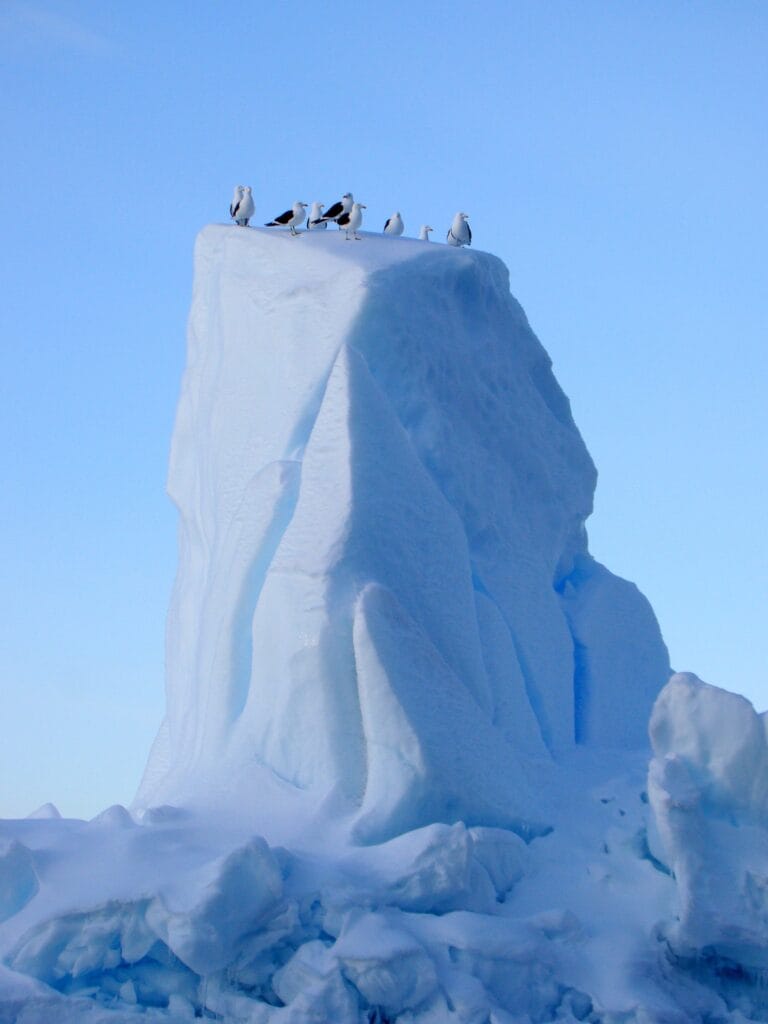Towering Antarctic glacier formation with pristine turquoise and blue ice structures creating an abstract icescape