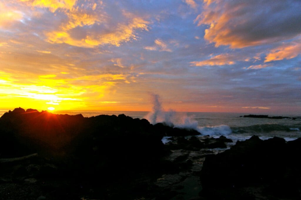 Eco-lodge with open-air sustainable architecture overlooking tropical rainforest canopy at sunset, with visible suspension bridge between trees