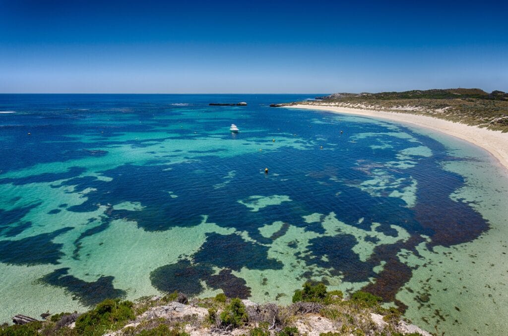 Rottnest Island beach with quokka marsupial in foreground, pristine turquoise water, white sand beach, island vegetation without commercial development