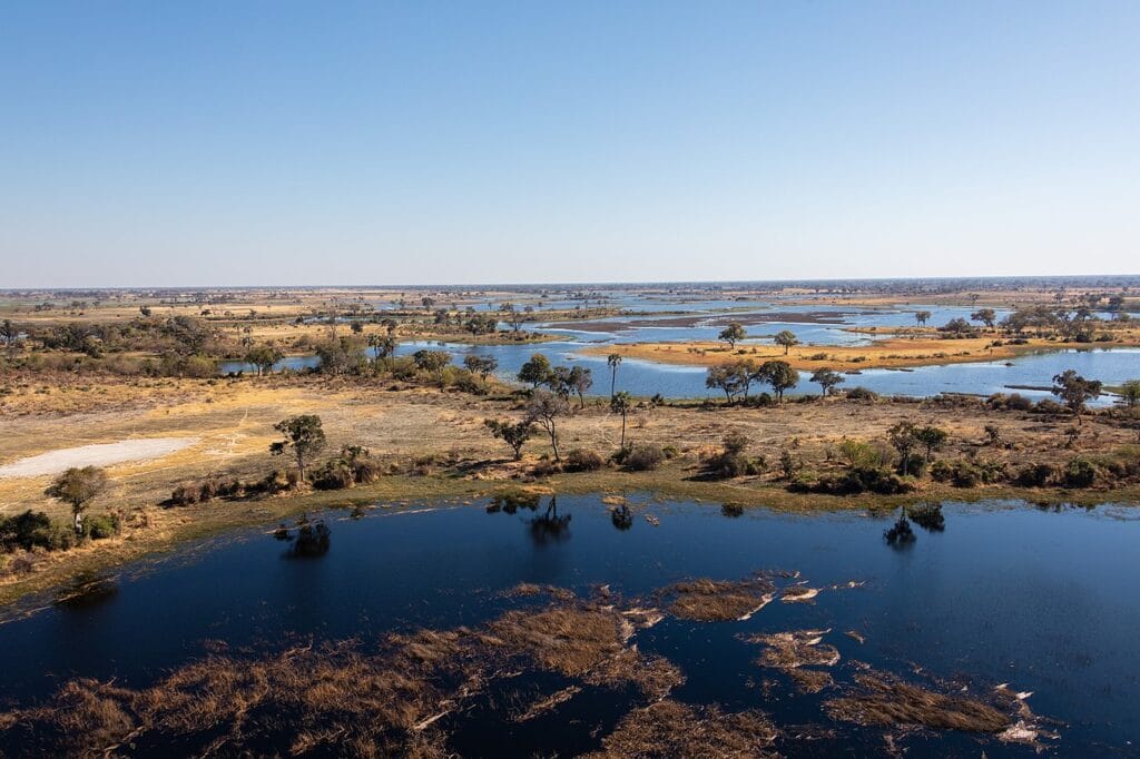 Aerial view of the winding water channels and lush green islands of the Okavango Delta in Botswana.