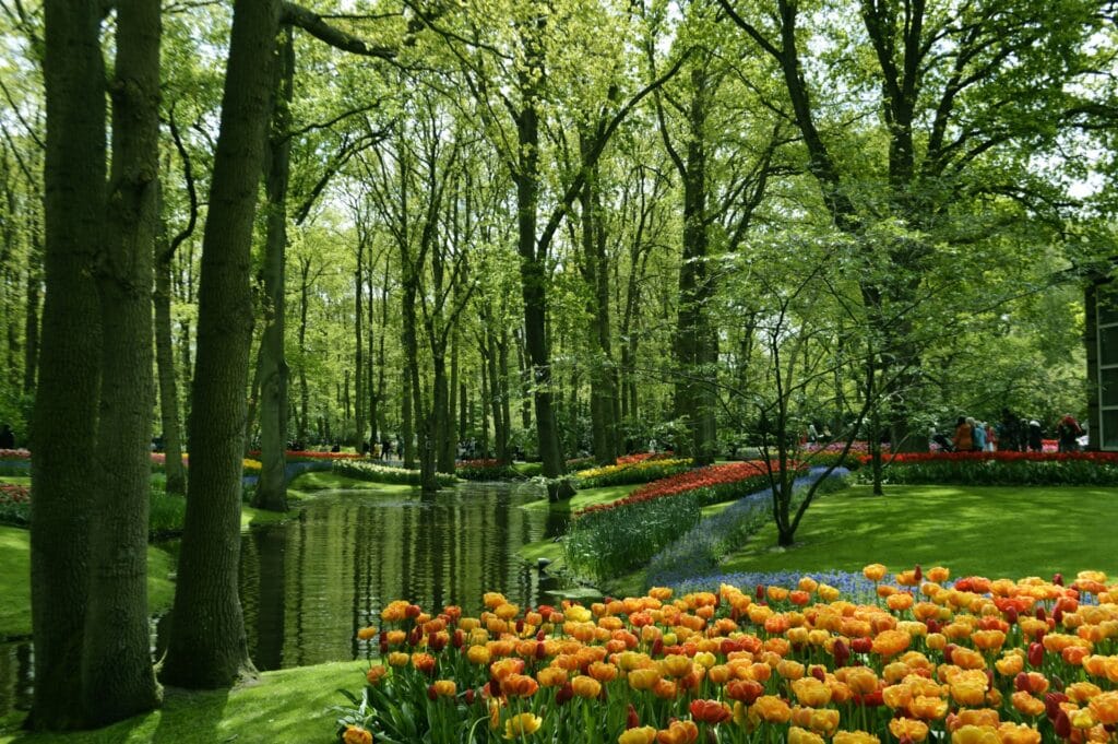 Vibrant orange tulips and lush green trees surrounding a pond at Keukenhof Gardens in the Netherlands during peak bloom in April 2026.