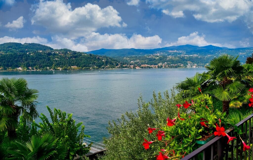 Panoramic view of Lake Maggiore in Italy with bright red flowers in the foreground and mountain landscapes in the background.