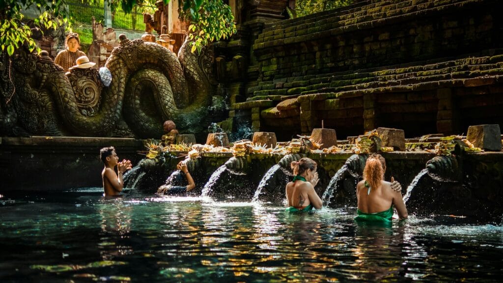 Travelers relaxing in a scenic infinity swimming pool surrounded by lush tropical palm trees and jungle greenery in Bali, Indonesia.