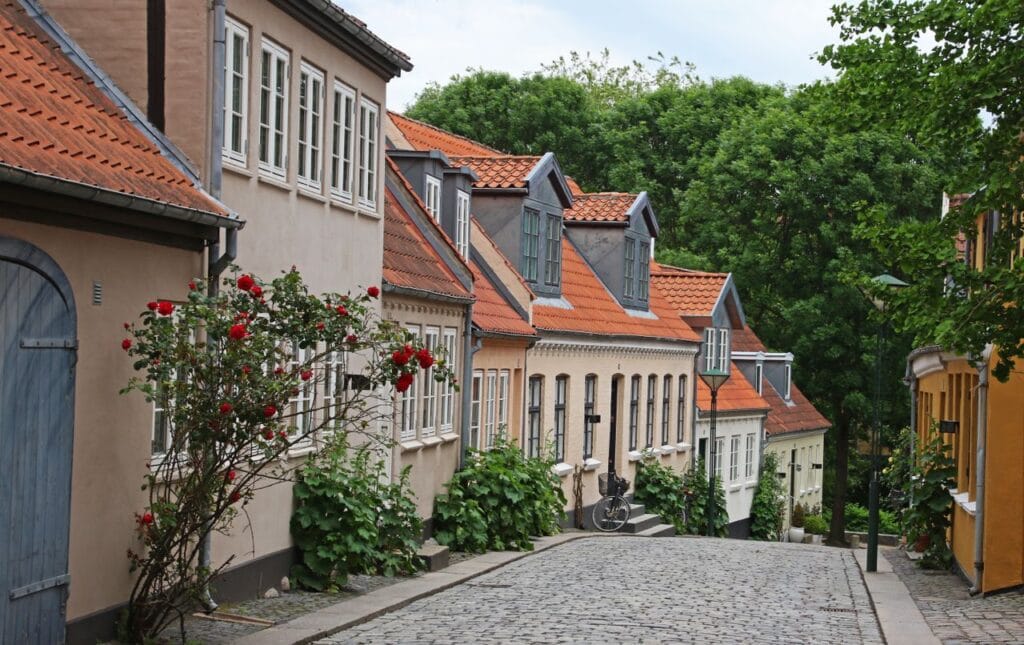 A charming cobblestone street sloping downward past traditional historic Danish houses with orange tile roofs and a red rose bush blooming in Odense.