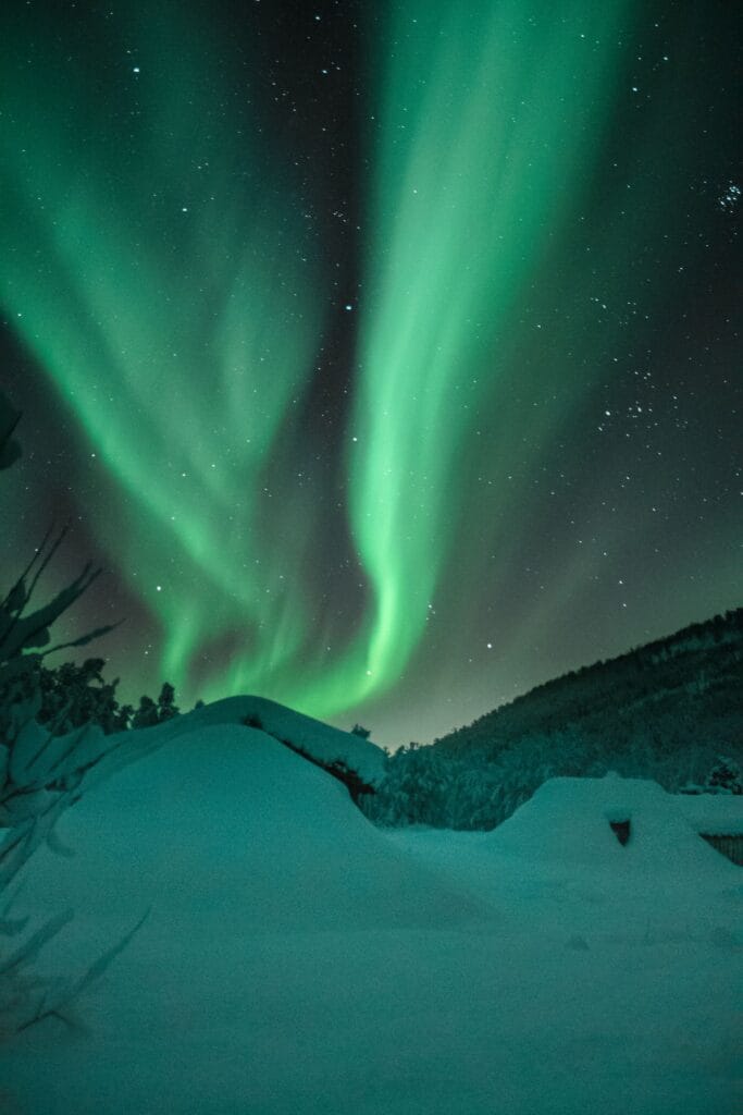 Mesmerizing green Northern Lights glowing brightly over a snow-covered Lapland forest in Jokkmokk, Sweden.