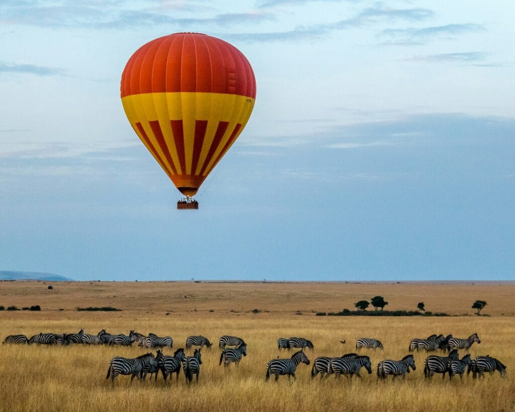 A red and yellow hot air balloon flying over the golden savanna grasslands filled with grazing zebras in Maasai Mara, Kenya.