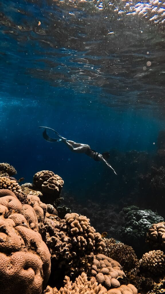 A diver exploring the vibrant coral reefs and marine life of the Bazaruto Archipelago, Vilanculos, Mozambique.